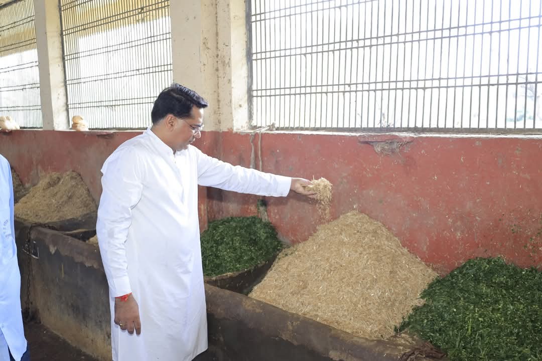 जल संसाधन मंत्री ने किया नौगांव माधव गौ विज्ञान अनुसंधान केंद्र का निरीक्षण, पंचगव्य चिकित्सा व जैविक खेती की सराहना जल संसाधन मंत्री ने किया नौगांव माधव गौ विज्ञान अनुसंधान केंद्र का निरीक्षण, पंचगव्य चिकित्सा व जैविक खेती की सराहना