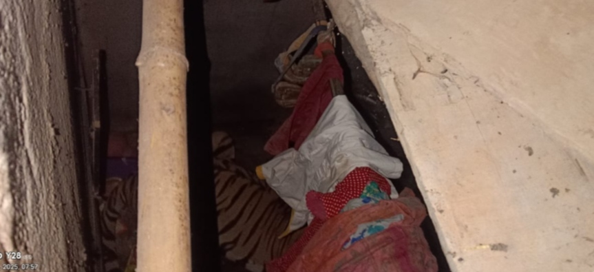 घर के अंदर बाघ की तस्वीर