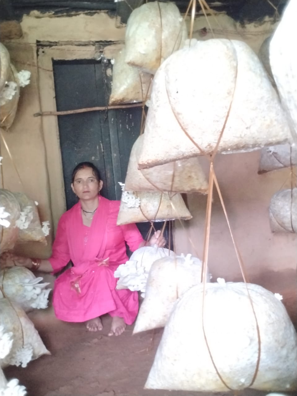 मशरूम उत्पादन के साथ महेश्वरी देवी मशरूम उत्पादन के साथ महेश्वरी देवी
