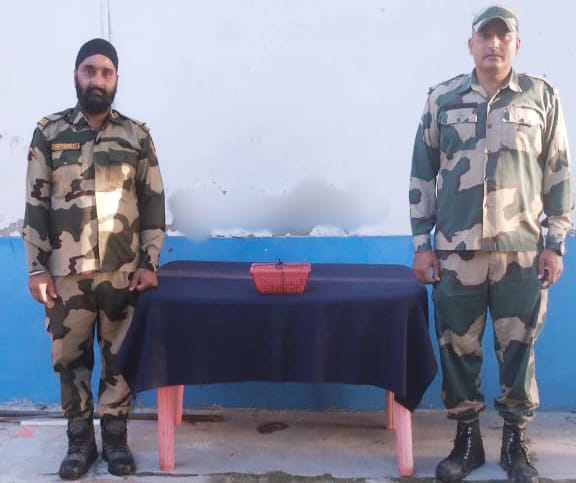 दुर्लभ प्रजाति टोके गेको छिपकली जब्त दुर्लभ प्रजाति टोके गेको छिपकली जब्त