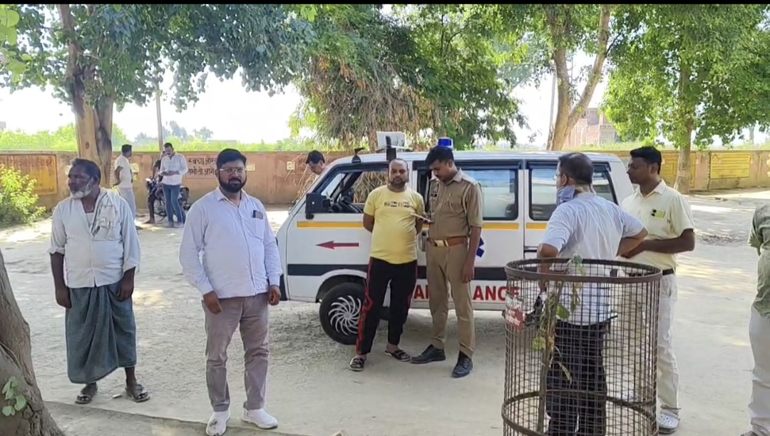 कार्यवाही करती पुलिस कार्यवाही करती पुलिस
