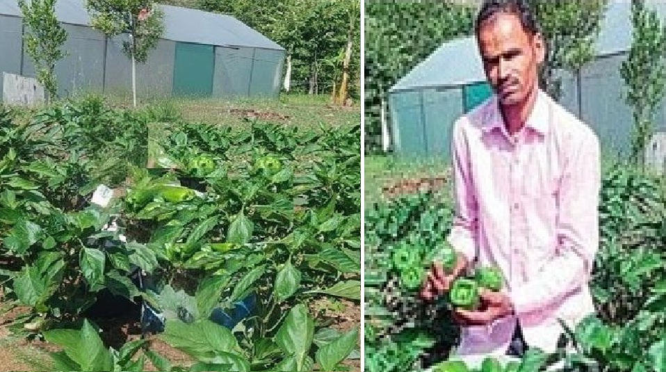 Bageshwer kisan Bageshwer kisan