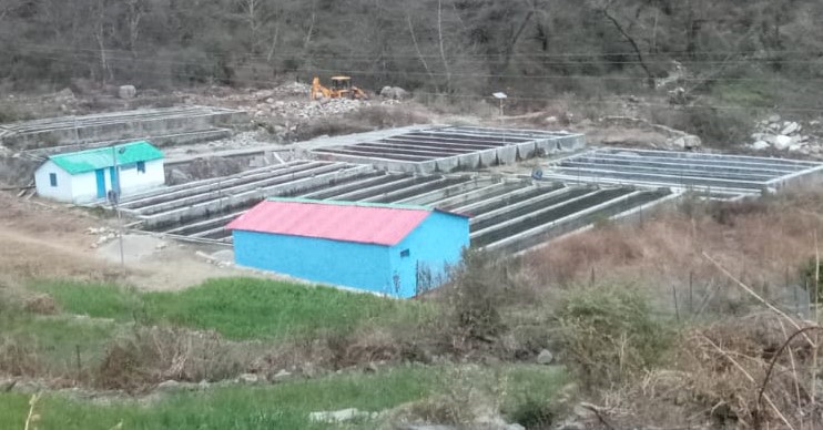 ल्वाणी गांव में मत्स्य पालन के लिए बने फिश पाउंड। ल्वाणी गांव में मत्स्य पालन के लिए बने फिश पाउंड।