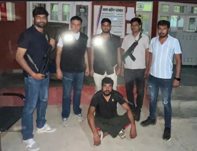 पलवल एसटीएफ की गिरफ्त में 50000 का इनामी बदमाश पलवल एसटीएफ की गिरफ्त में 50000 का इनामी बदमाश