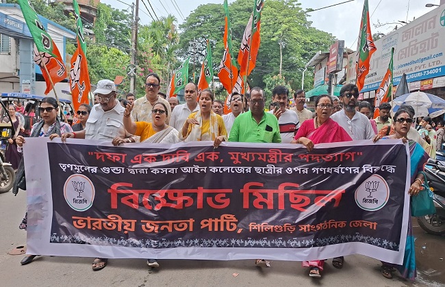 भाजपा का प्रदर्शन भाजपा का प्रदर्शन