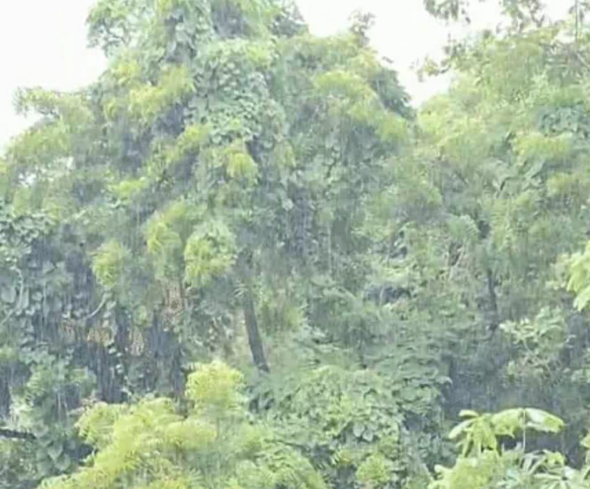 छत्तीसगढ़ में मानसून सक्रिय छत्तीसगढ़ में मानसून सक्रिय