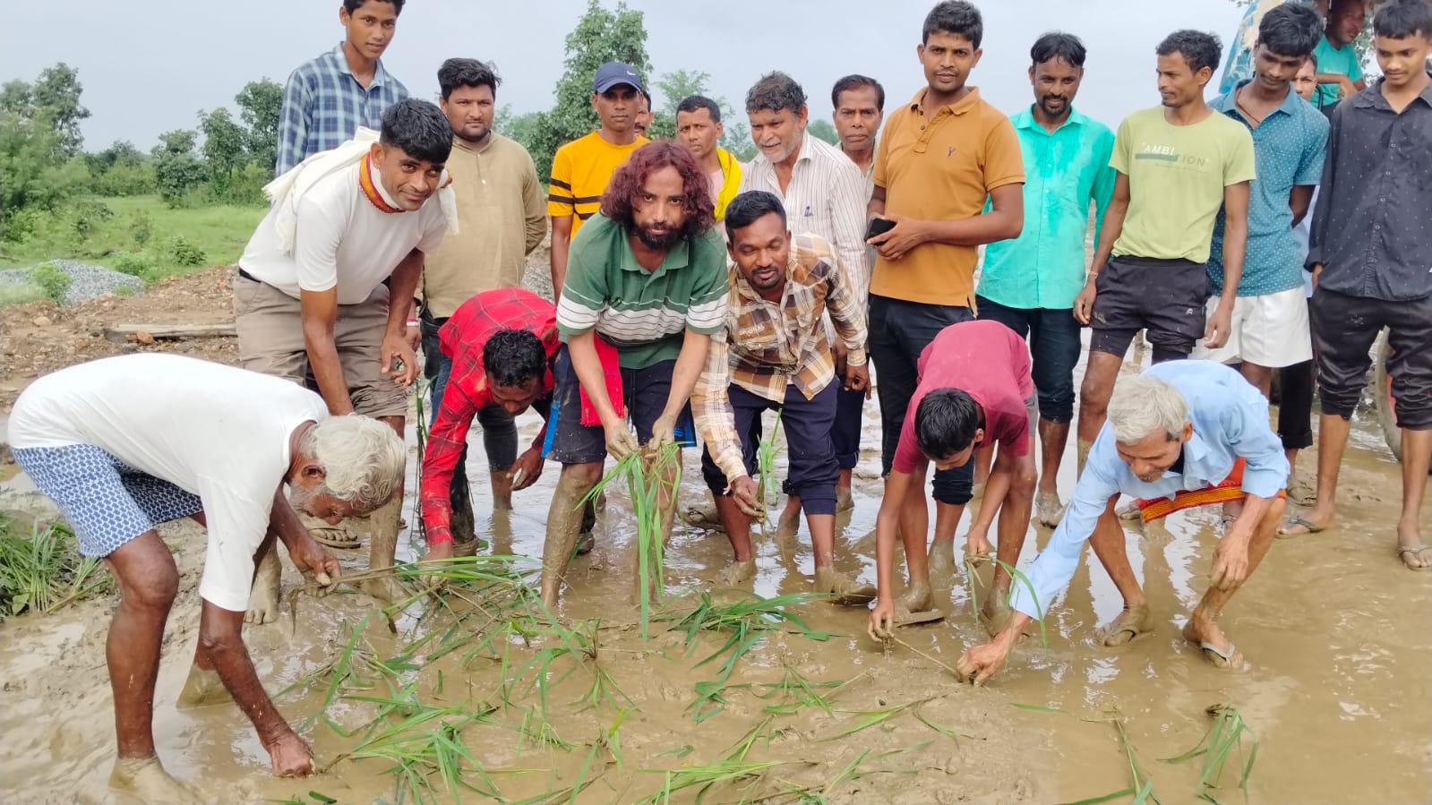 सड़क ओर धान रूपाई करते देवेंद्र महतो और अन्य सड़क ओर धान रूपाई करते देवेंद्र महतो और अन्य