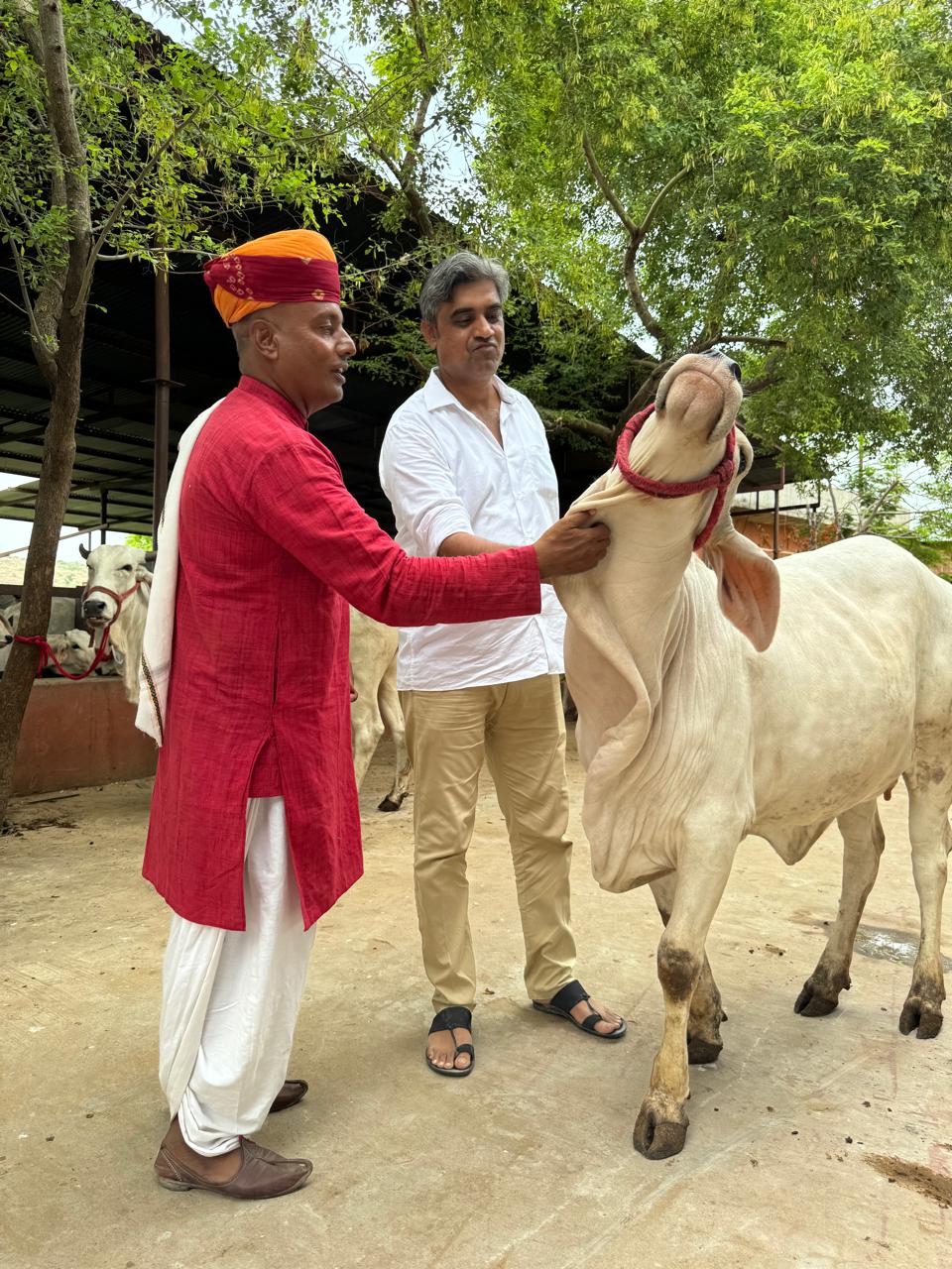 jodhpur jodhpur