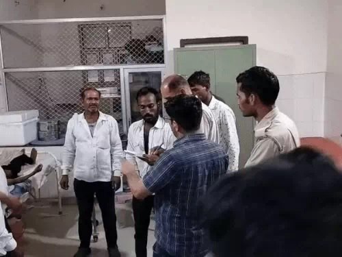 फाइल फाइल