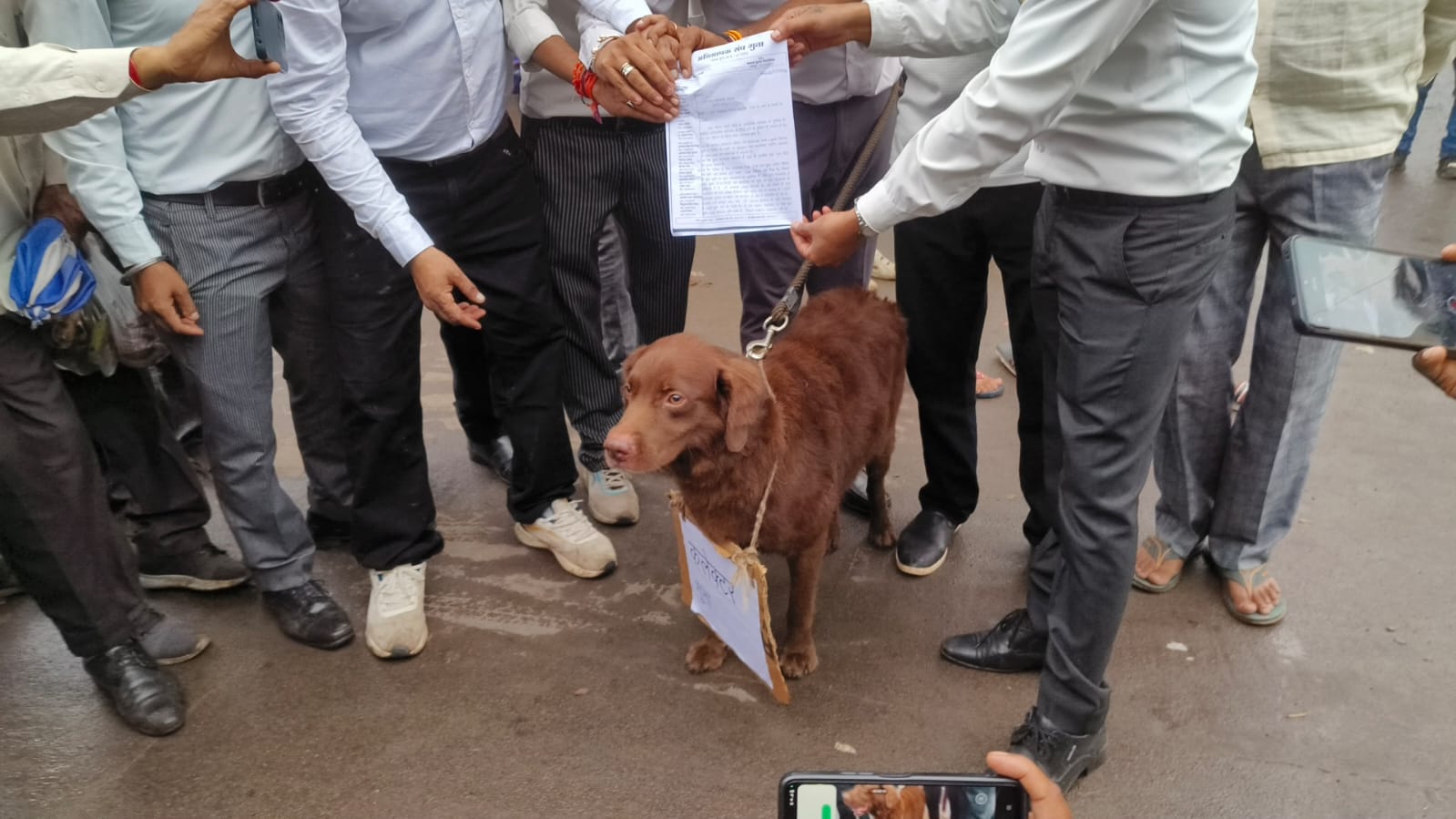 वकीलों ने हनुमान चौराहे पर लगाया जाम, श्वान को सौपा ज्ञापन वकीलों ने हनुमान चौराहे पर लगाया जाम, श्वान को सौपा ज्ञापन