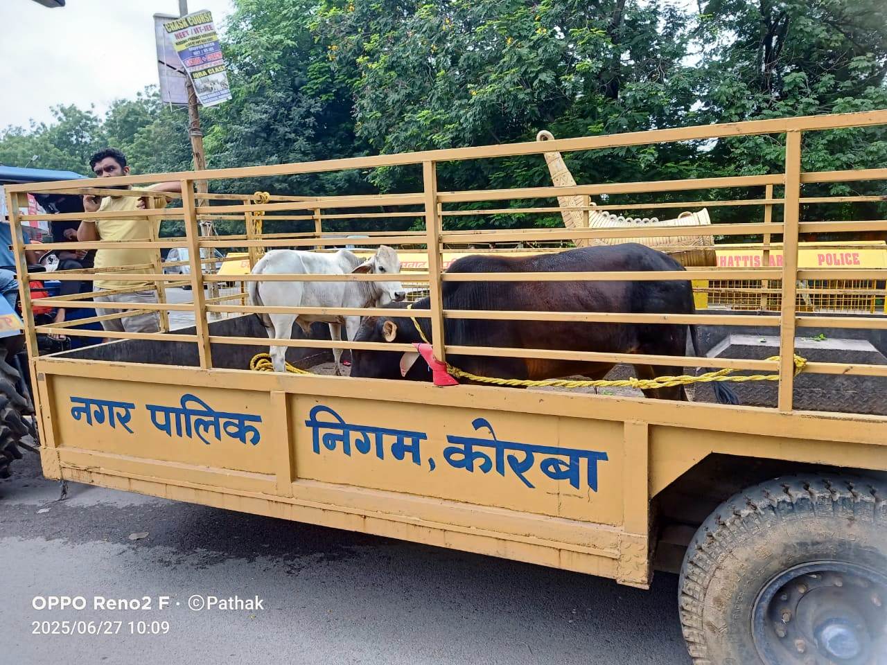कोरबा :मवेशियों को सड़क पर खुला छोड़ने वाले पशुपालकों पर होगी दण्डात्मक कार्यवाही कोरबा :मवेशियों को सड़क पर खुला छोड़ने वाले पशुपालकों पर होगी दण्डात्मक कार्यवाही