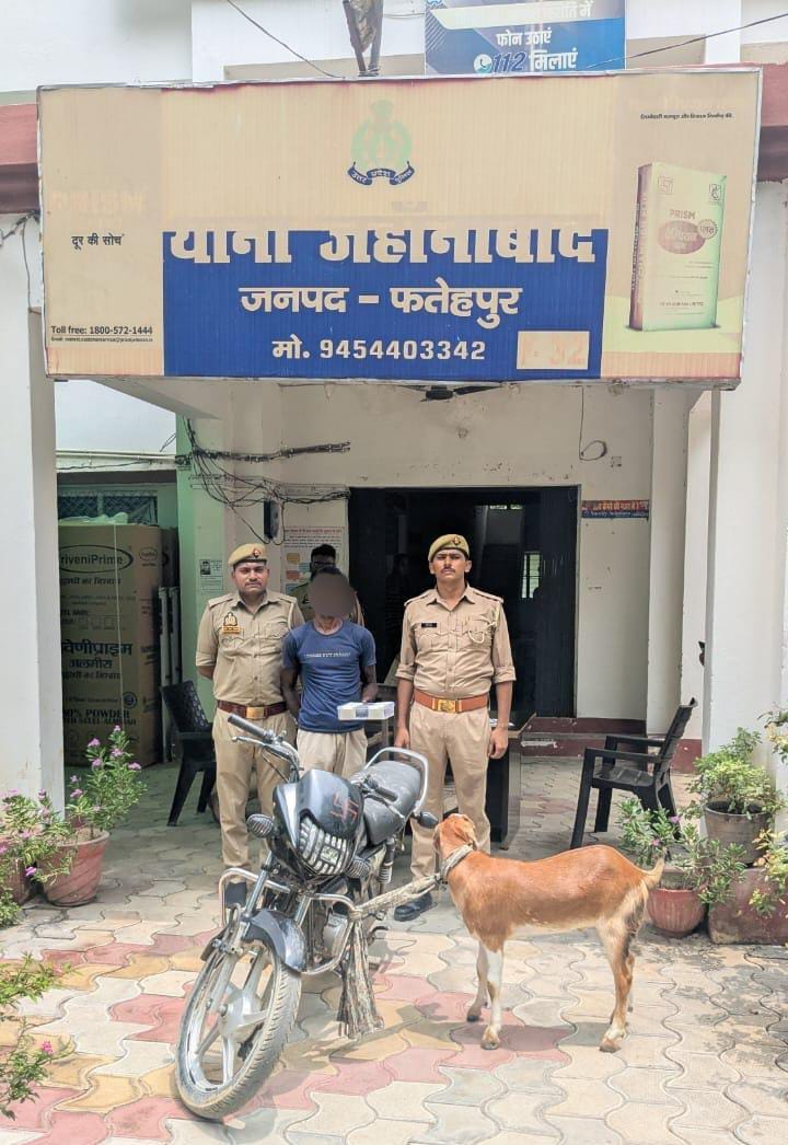 पुलिस की गिरफ्त में बकरा चोर पुलिस की गिरफ्त में बकरा चोर