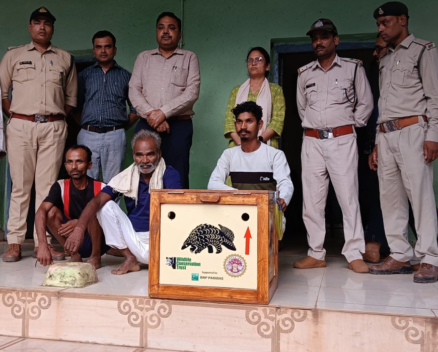 सोशल मीडिया पर वायरल वीडियों के सहारे पैंगोलिन के तस्करों तक पहुंचा वन विभाग सोशल मीडिया पर वायरल वीडियों के सहारे पैंगोलिन के तस्करों तक पहुंचा वन विभाग