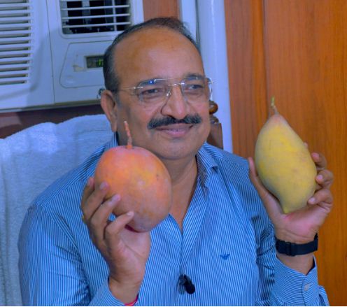 प्रेसवार्ता को संबोधित करते हुए दिनेश प्रताप सिंह प्रेसवार्ता को संबोधित करते हुए दिनेश प्रताप सिंह