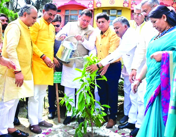 पौधारोपण करते सीएम धामी पौधारोपण करते सीएम धामी