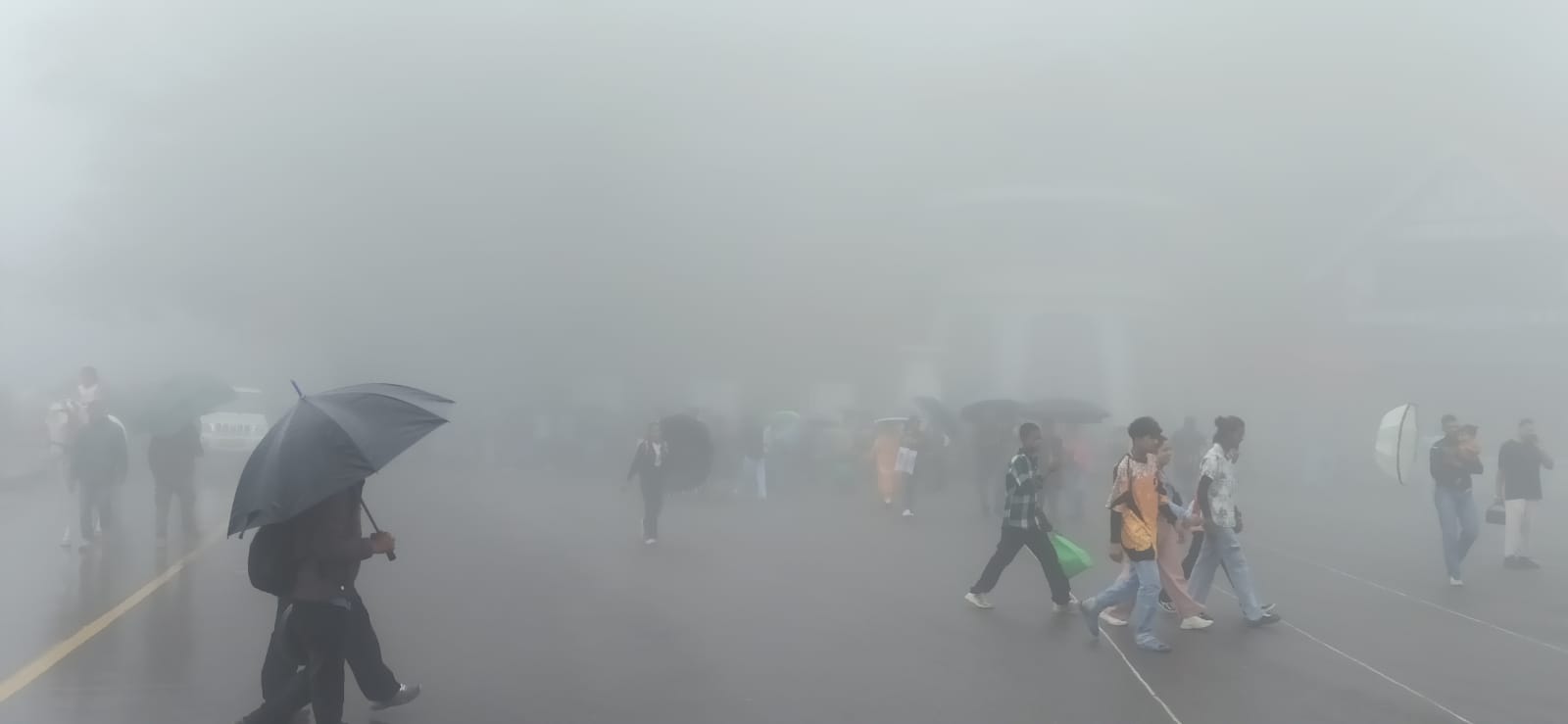 शिमला में वर्षा शिमला में वर्षा