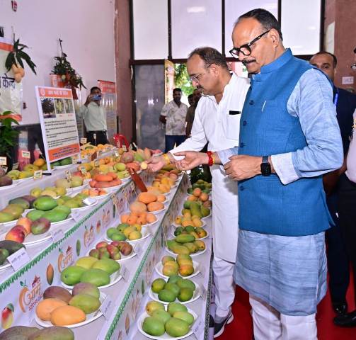 उत्तर प्रदेश आम महोत्सव में आमों की वैरायटी देखते हुए उपमुख्यमंत्री ब्रजेश पाठक (फोटो) उत्तर प्रदेश आम महोत्सव में आमों की वैरायटी देखते हुए उपमुख्यमंत्री ब्रजेश पाठक (फोटो)