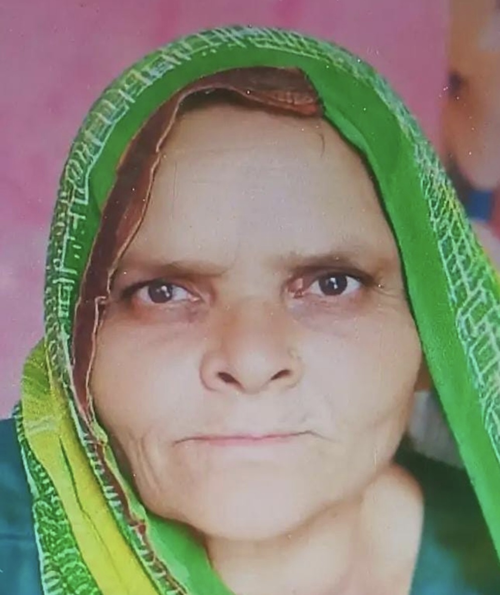सड़क हादसे में बुजुर्ग महिला की मौत सड़क हादसे में बुजुर्ग महिला की मौत
