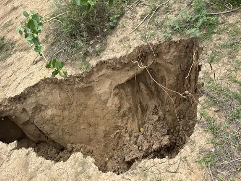 बाड़मेर में जमीन धंसने से गड्ढे हो गए और गहरे, लोगों में भय का माहौल बाड़मेर में जमीन धंसने से गड्ढे हो गए और गहरे, लोगों में भय का माहौल