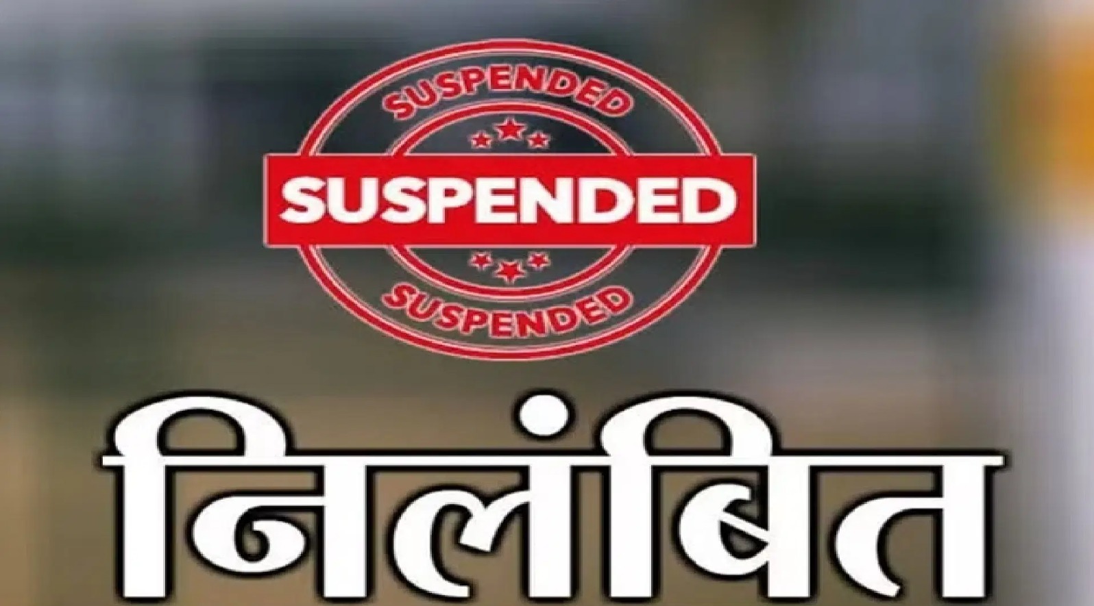 पुनरीक्षण कार्य में लापरवाही के आरोप में बीएलओ निलंबित पुनरीक्षण कार्य में लापरवाही के आरोप में बीएलओ निलंबित