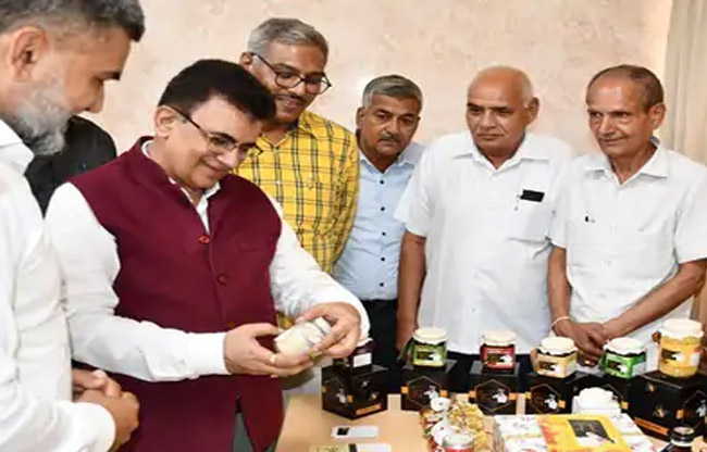 सोनीपत: मधुमक्खी पालन को लेकर जानकारी लेते हुए कुलपति व अन्य