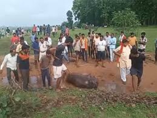 भालू के हमले में 3 की मौत भालू के हमले में 3 की मौत