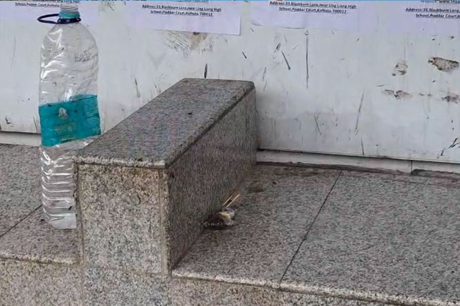 न्यू टाउन बस स्टैंड पर खून के धब्बे देखकर सनसनी न्यू टाउन बस स्टैंड पर खून के धब्बे देखकर सनसनी