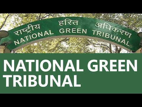 एनजीटी की सख्ती- एनएचएआई से मांगा जवाब, नियमों के अनुसार 8.5 लाख पौधे और लगाने की जरूरत एनजीटी की सख्ती- एनएचएआई से मांगा जवाब, नियमों के अनुसार 8.5 लाख पौधे और लगाने की जरूरत