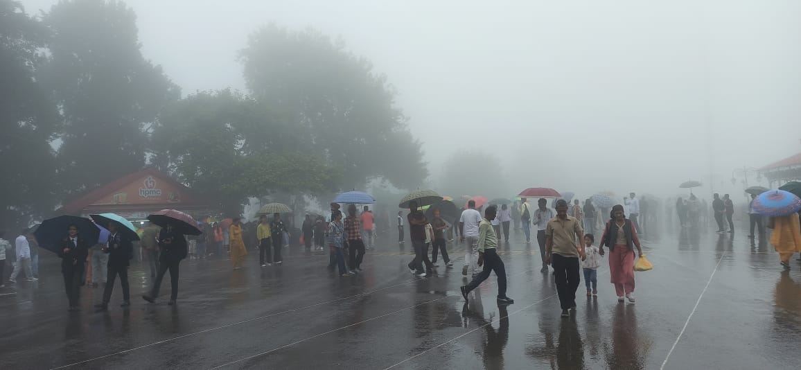 शिमला में वर्षा शिमला में वर्षा