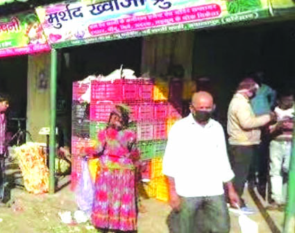 मंडी समिति मंडी समिति