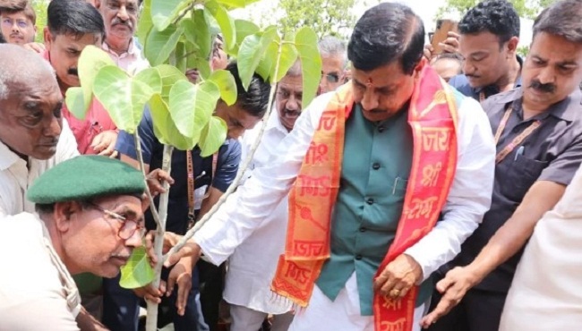 मुख्यमंत्री मोहन यादव पौधरोपण करते हुए (फाइल फोटो) मुख्यमंत्री मोहन यादव पौधरोपण करते हुए (फाइल फोटो)