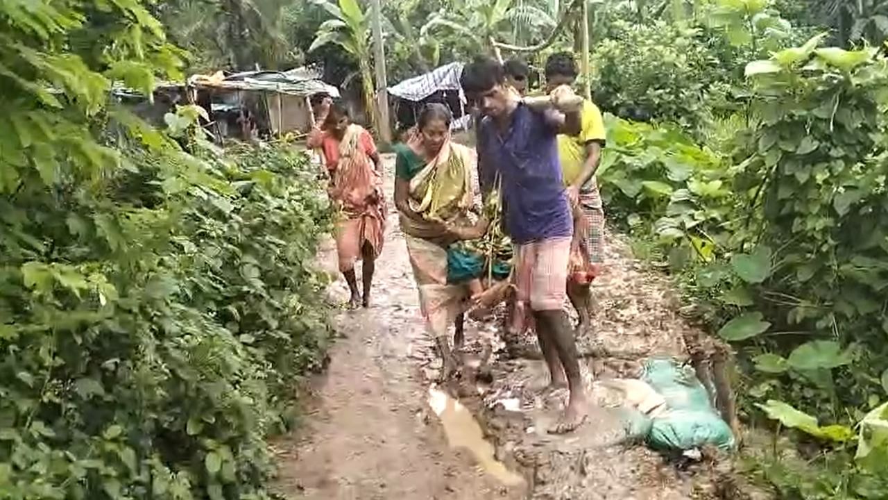 वायरल तस्वीर वायरल तस्वीर