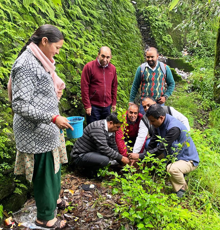 डीएसबी परिसर में पौधरोपण करते लोग। डीएसबी परिसर में पौधरोपण करते लोग।