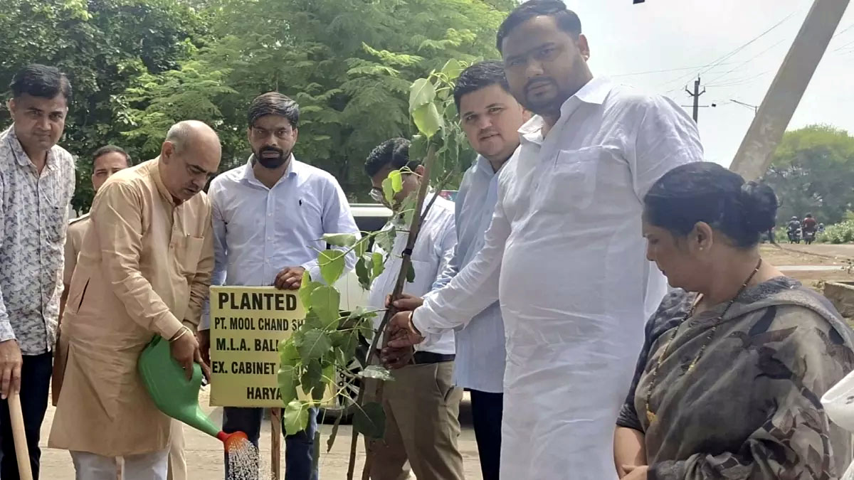 सेक्टर-64 में पौधारोपण करते विधायक मूलचंद शर्मा सेक्टर-64 में पौधारोपण करते विधायक मूलचंद शर्मा