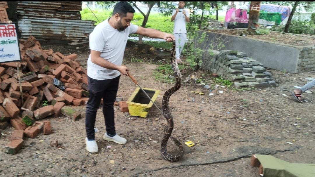 कटघोरा वन मण्डल के बांकी मोगरा में 9 फीट लंबे अजगर का रेस्क्यू, सुरक्षित जंगल में छोड़ा गया कटघोरा वन मण्डल के बांकी मोगरा में 9 फीट लंबे अजगर का रेस्क्यू, सुरक्षित जंगल में छोड़ा गया