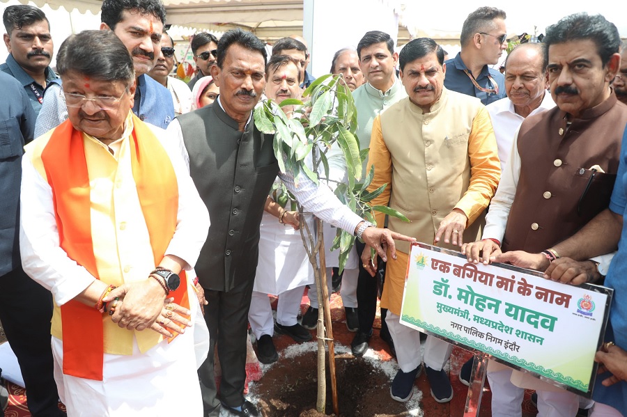 एक बगिया मां के नाम (फाइल फोटो) एक बगिया मां के नाम (फाइल फोटो)