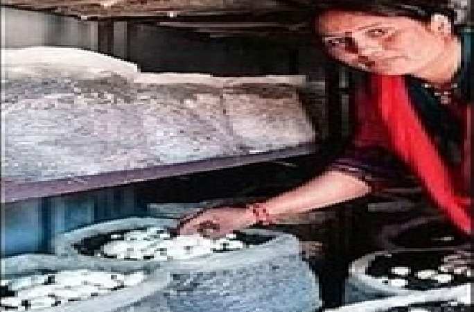 पार्वती बिष्ट पार्वती बिष्ट