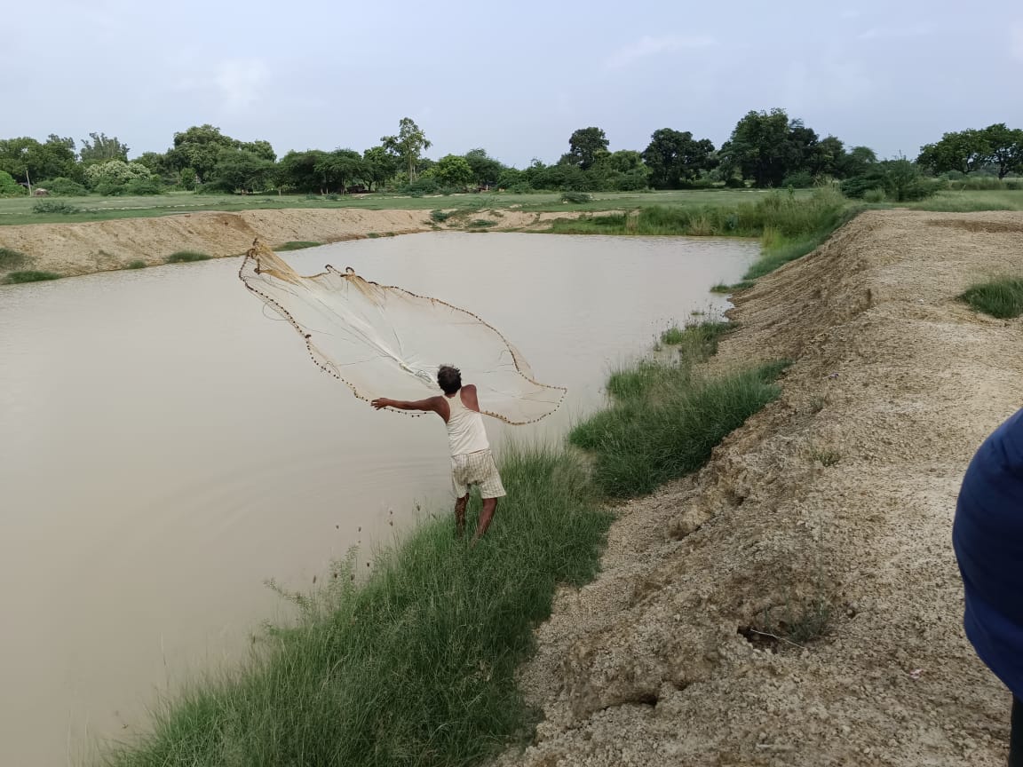 तालाब में मछली पकड़ने के लिए जाल डालता मछुआरा तालाब में मछली पकड़ने के लिए जाल डालता मछुआरा