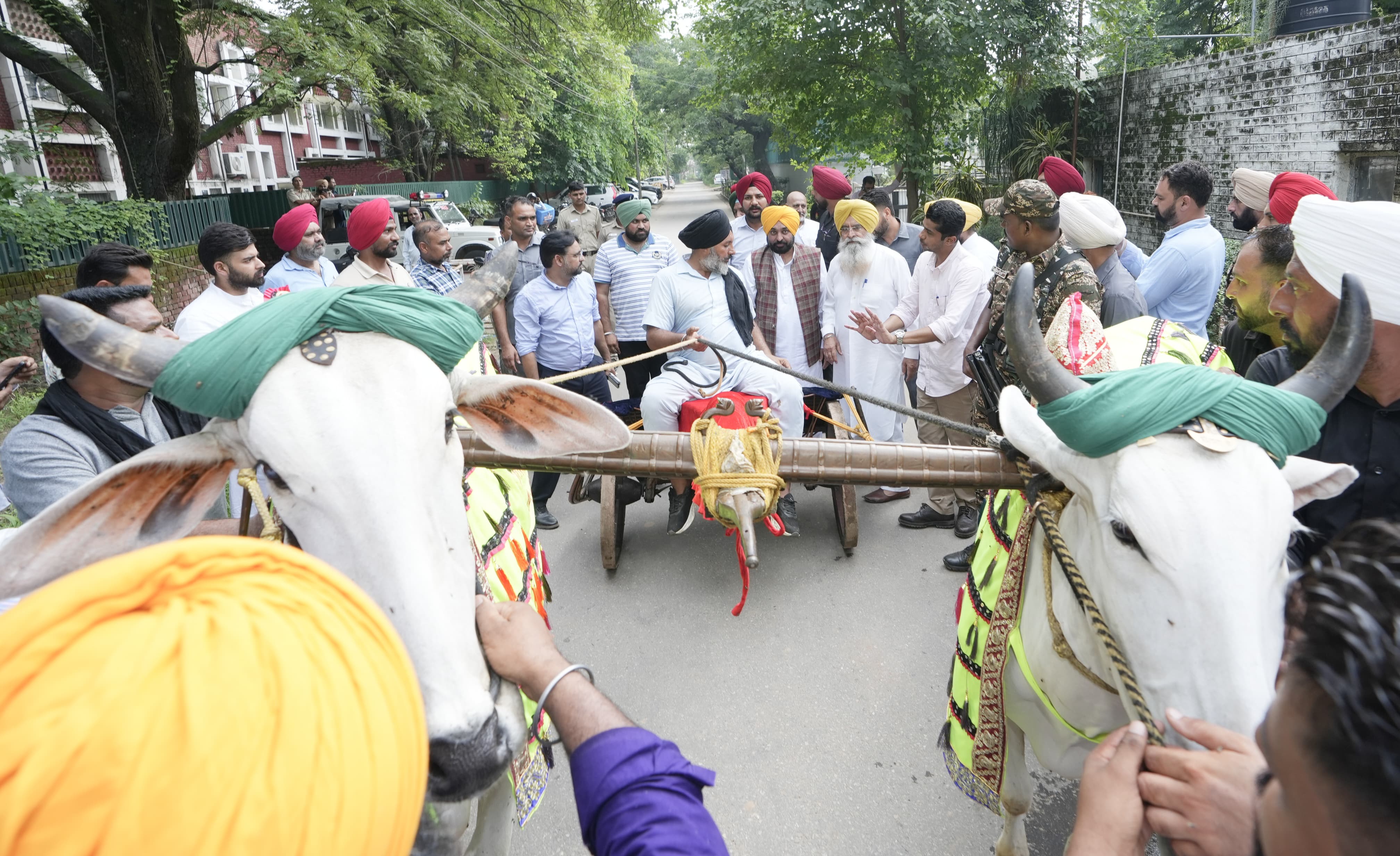 पंजाब विधानसभा में बैलाें की दाैड़ के संबंध में प्रस्ताव पारित करने के बाद बैलाें के साथ सदन से बाहर आते सीएम मान