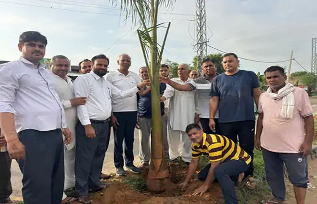 पौधारोपण करते हुए विधायक कंवर सिंह यादव। पौधारोपण करते हुए विधायक कंवर सिंह यादव।