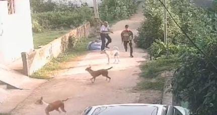 सीसीटीवी की तस्वीर सीसीटीवी की तस्वीर