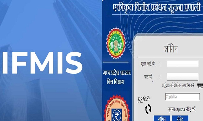 आईएफएमआईएस सॉफ्टवेयर (प्रतीकात्मक तस्वीर) आईएफएमआईएस सॉफ्टवेयर (प्रतीकात्मक तस्वीर)