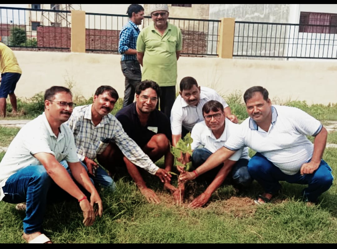 एक पेड़ मां के नाम’ अभियान के तहत राप्तीनगर विस्तार में कराया गया पौधारोपण* एक पेड़ मां के नाम’ अभियान के तहत राप्तीनगर विस्तार में कराया गया पौधारोपण*