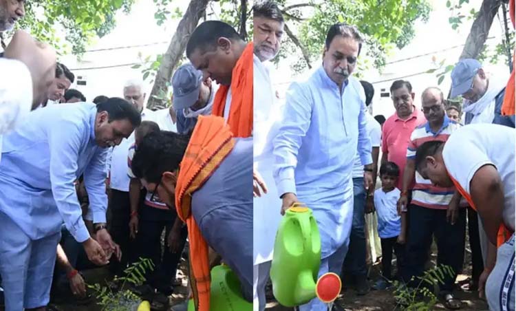 विधायक राजेश मूणत पाैधराेपण करते हुए विधायक राजेश मूणत पाैधराेपण करते हुए