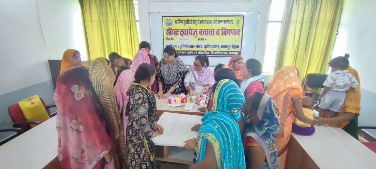सी एस ए विश्वविद्यालय में पांच दिवसीय सॉफ्ट टॉयज प्रशिक्षण का समापन सी एस ए विश्वविद्यालय में पांच दिवसीय सॉफ्ट टॉयज प्रशिक्षण का समापन