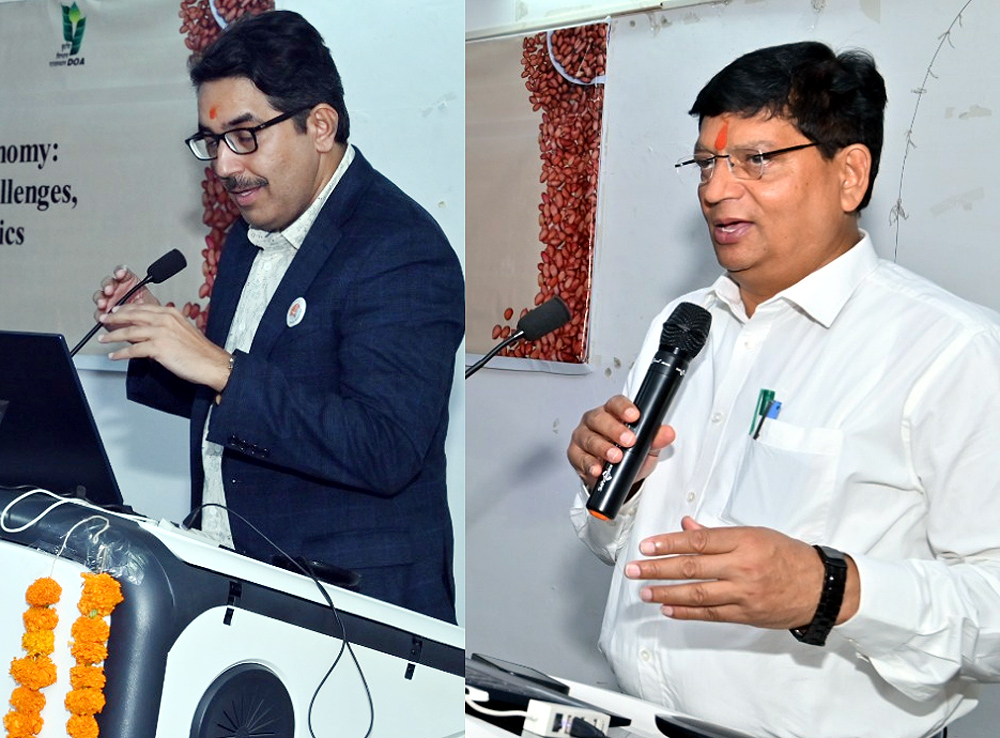 प्रदेश में मूंगफली अर्थव्यवस्था को सशक्त बनाने हेतु कार्यशाला आयोजित प्रदेश में मूंगफली अर्थव्यवस्था को सशक्त बनाने हेतु कार्यशाला आयोजित