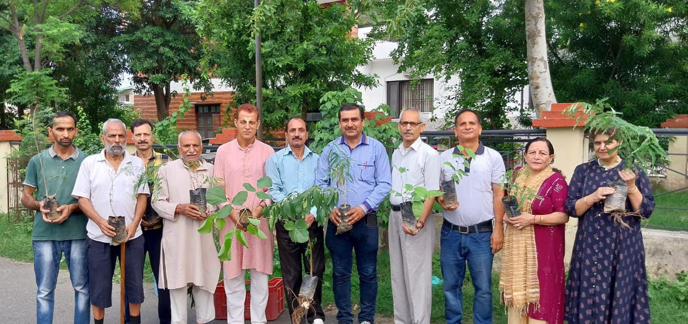 ब्राह्मण सभा छन्नी हिम्मत द्वारा प्रारंभ किया गया वृक्षारोपण अभियान