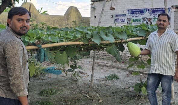 प्राकृतिक खेती से तैयार लौकी का प्रत्यक्षण करते प्राकृतिक खेती से तैयार लौकी का प्रत्यक्षण करते