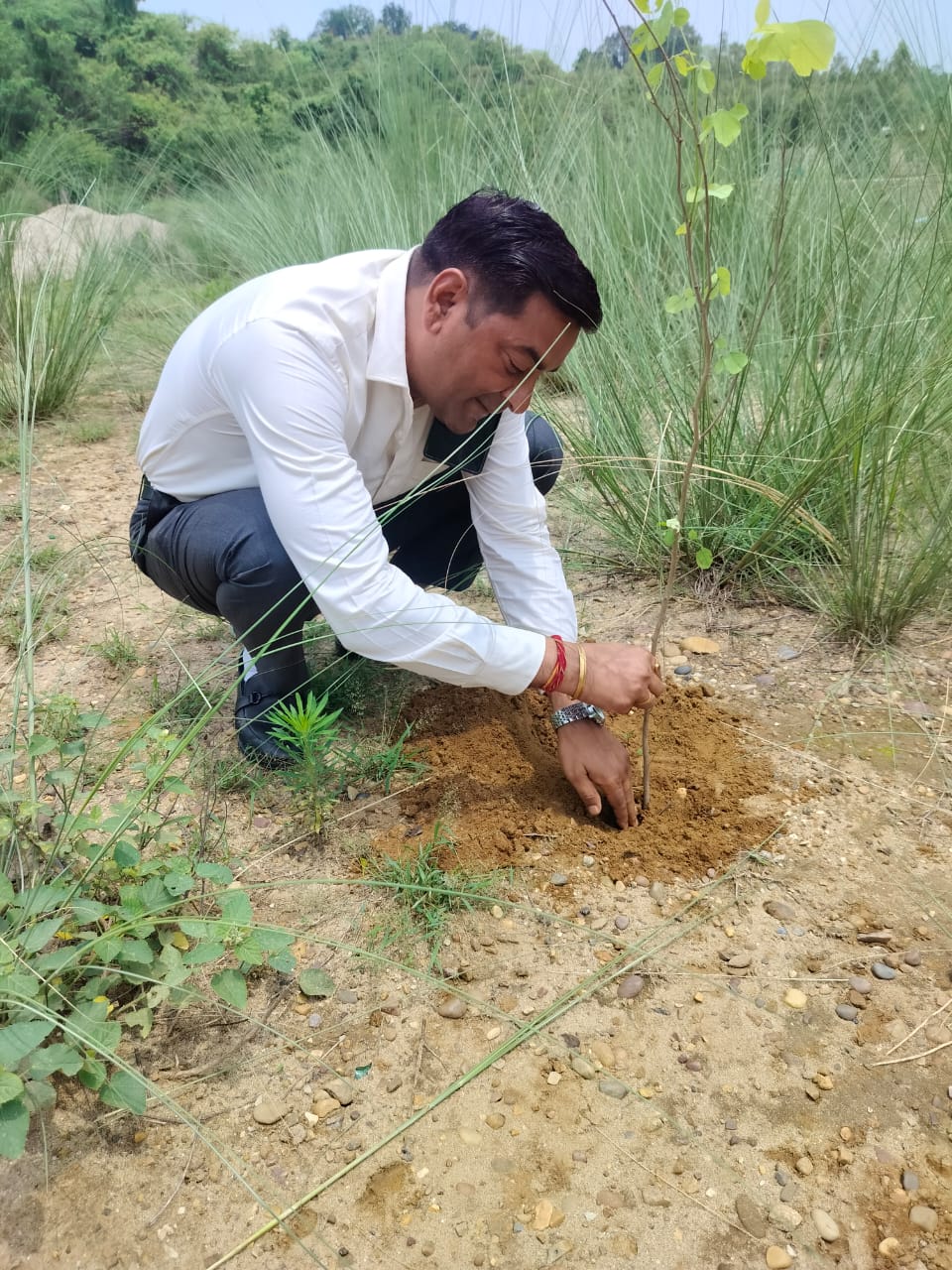 पर्यावरण बचाने उतरा क्रशर उद्योग