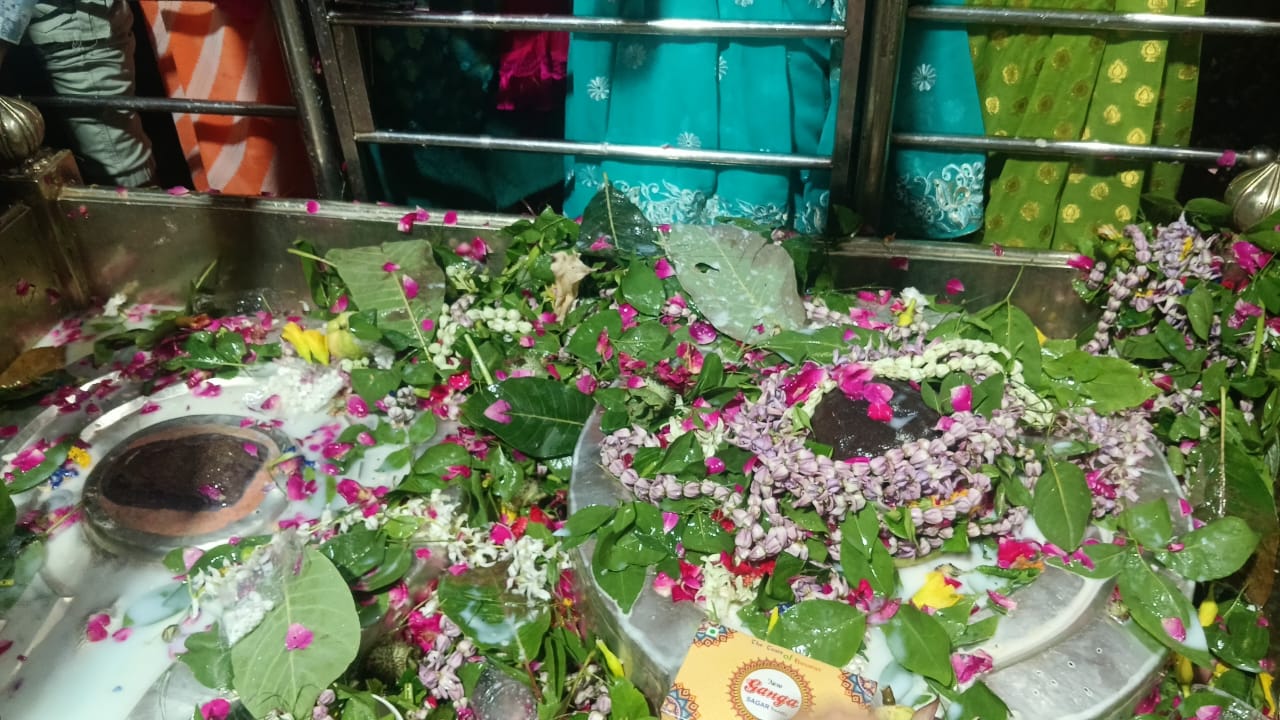 सारंगनाथ महादेव का दरबार सारंगनाथ महादेव का दरबार